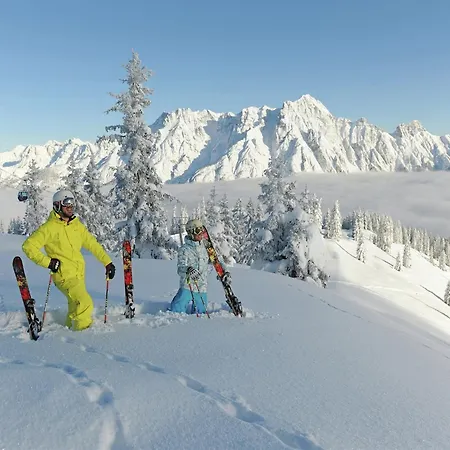 In Viehhofen Near Lifts Apartment