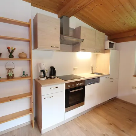 Apartment In Viehhofen Near Lifts Saalbach-Hinterglemm