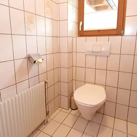 In Viehhofen Near Lifts