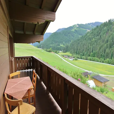 In Viehhofen Near Lifts